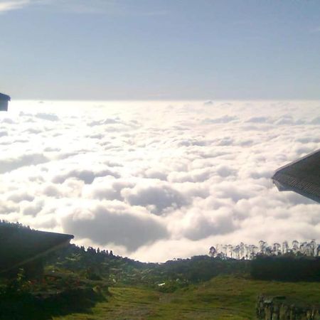 كوديكانال The Place ...The Experience المظهر الخارجي الصورة